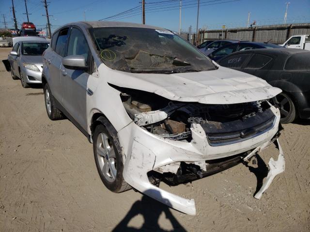 Ford Escape se (2014)