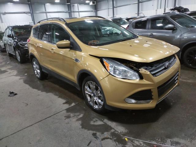 Ford Escape se (2014)