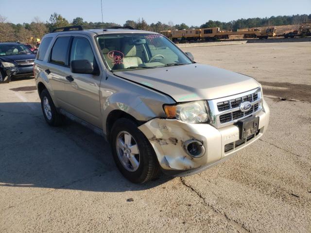 Ford Escape xlt (2010)
