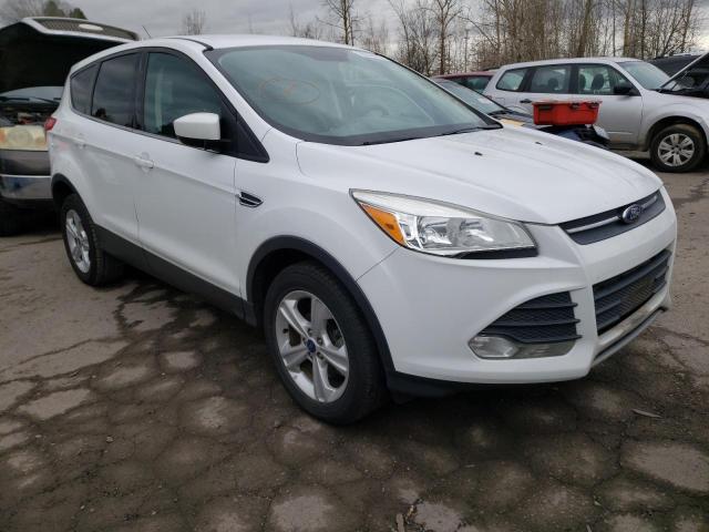 Ford Escape se (2013)