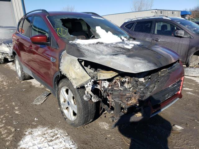 Ford Escape se (2014)