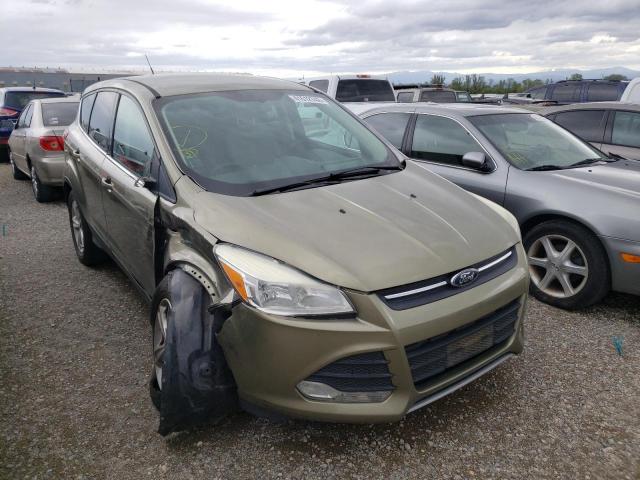 Ford Escape se (2013)