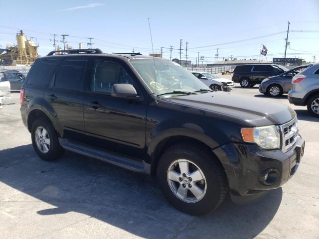Ford Escape xlt (2010)