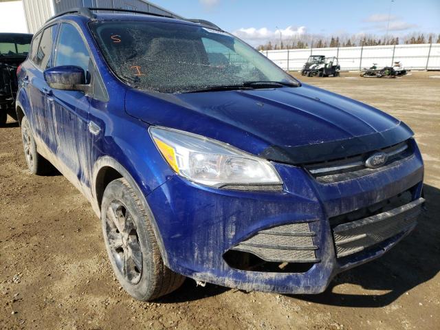 Ford Escape se (2013)