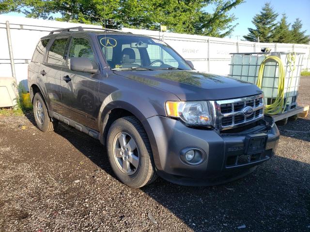 Ford Escape xlt (2010)