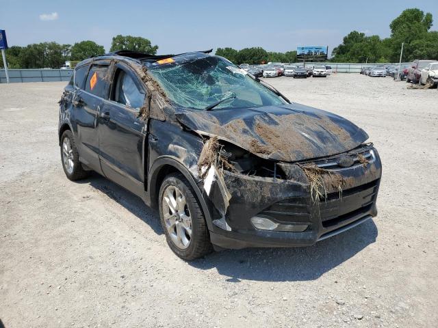 Ford Escape tit (2014)