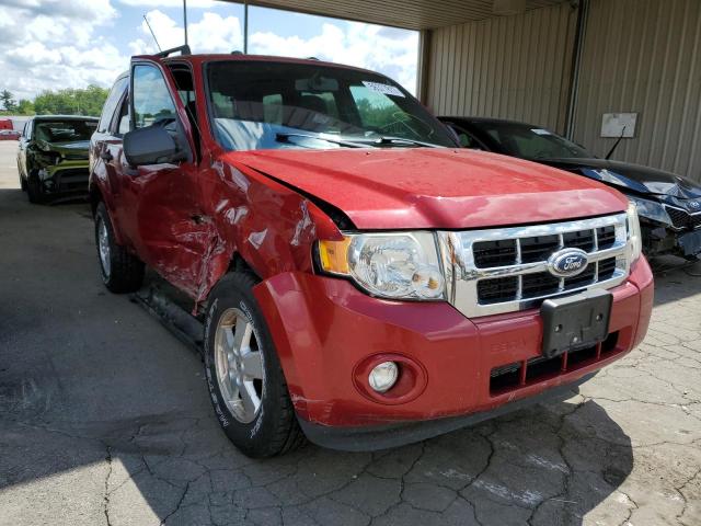 Ford Escape xlt (2011)