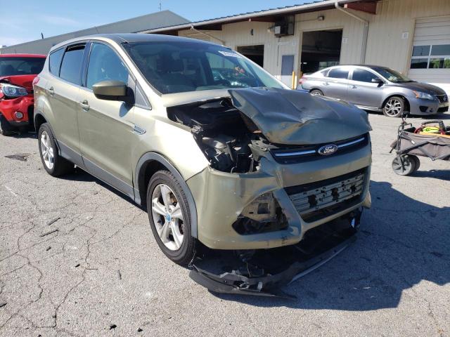 Ford Escape se (2013)