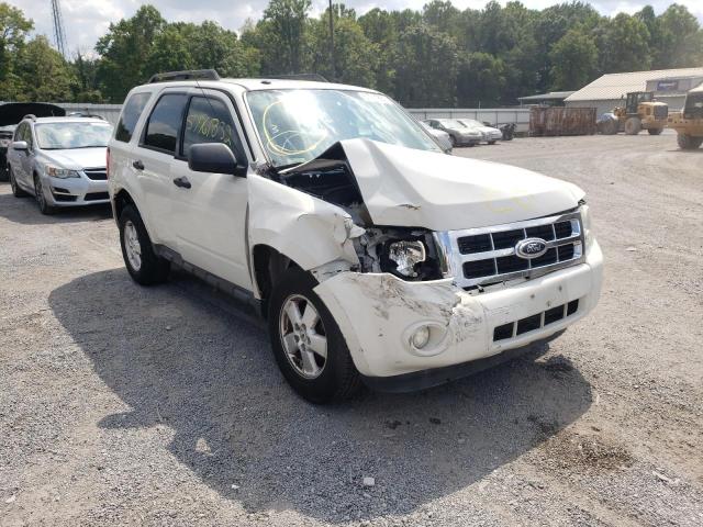 Ford Escape xlt (2010)