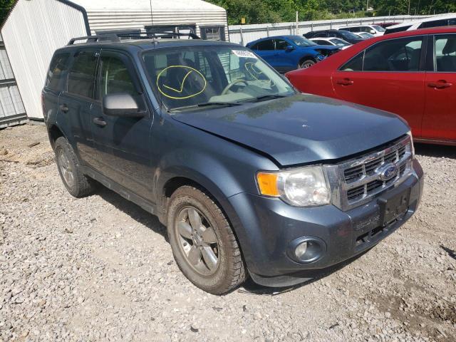 Ford Escape xlt (2011)