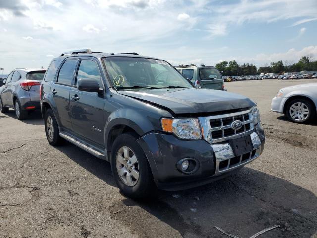 Ford Escape hyb (2010)