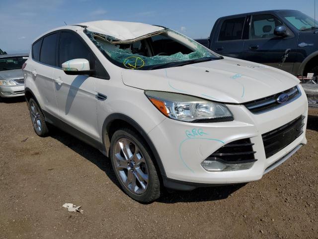 Ford Escape sel (2013)