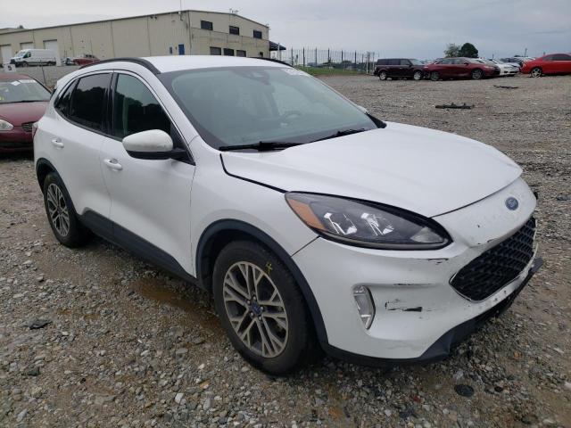 Ford Escape sel (2020)