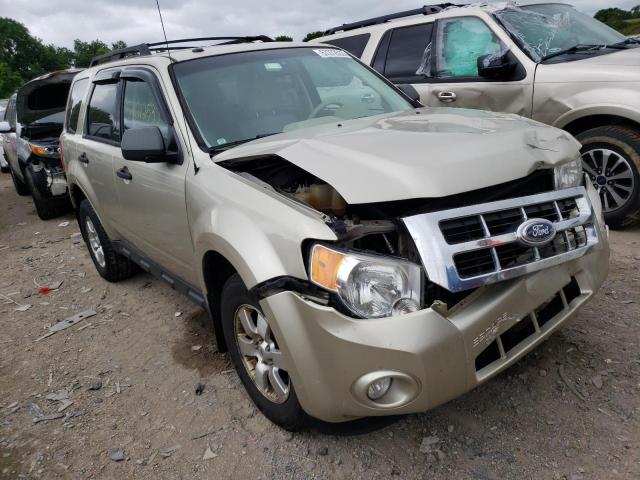 Ford Escape xlt (2010)