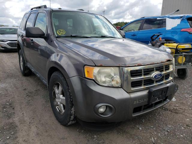 Ford Escape xlt (2010)