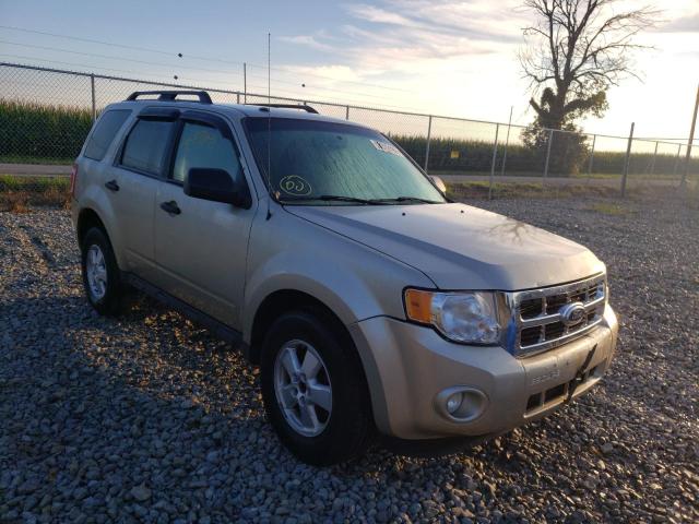 Ford Escape xlt (2010)