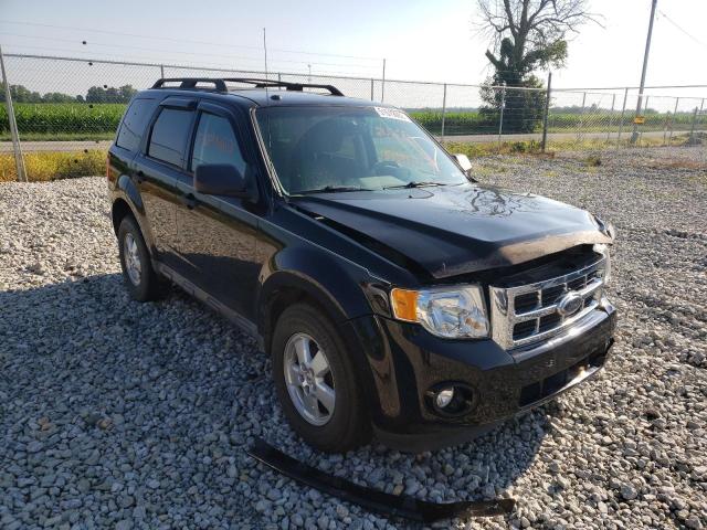 Ford Escape xlt (2010)