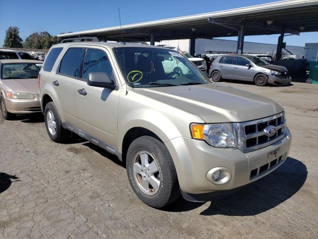 Ford Escape xlt (2011)