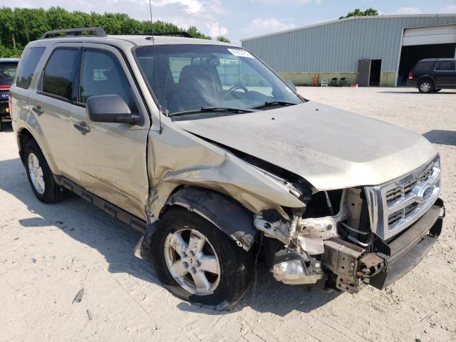Ford Escape xlt (2011)