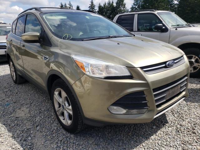 Ford Escape se (2013)