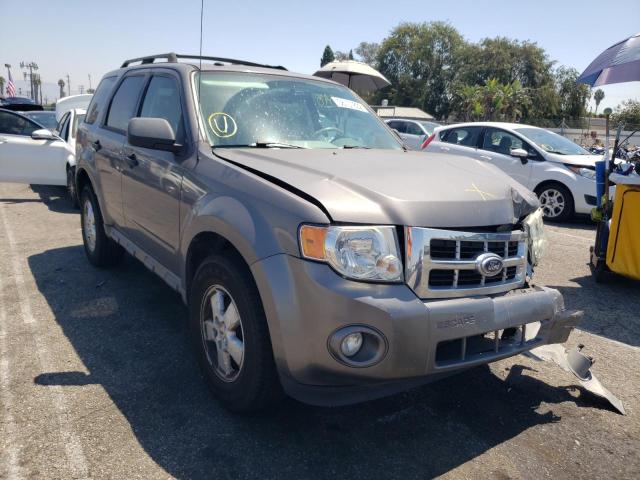 Ford Escape xlt (2010)