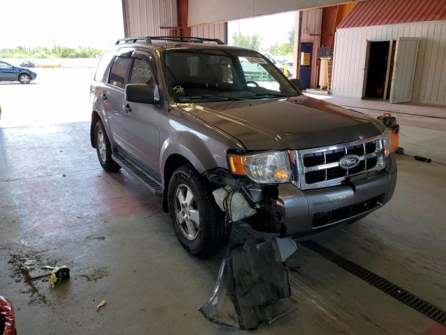 Ford Escape xlt (2010)