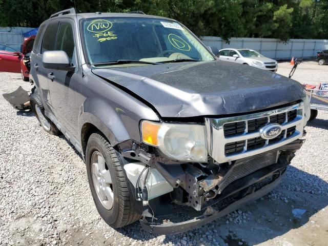 Ford Escape xlt (2010)