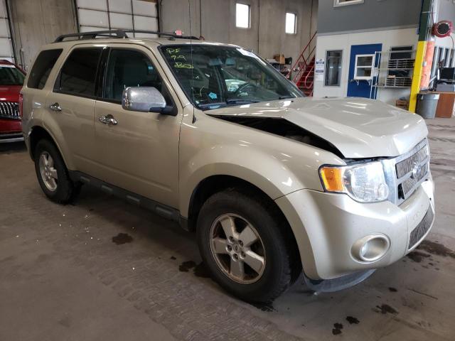 Ford Escape xlt (2011)