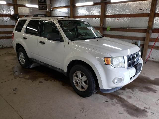 Ford Escape xlt (2010)