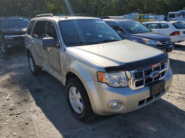 Ford Escape xlt (2010)