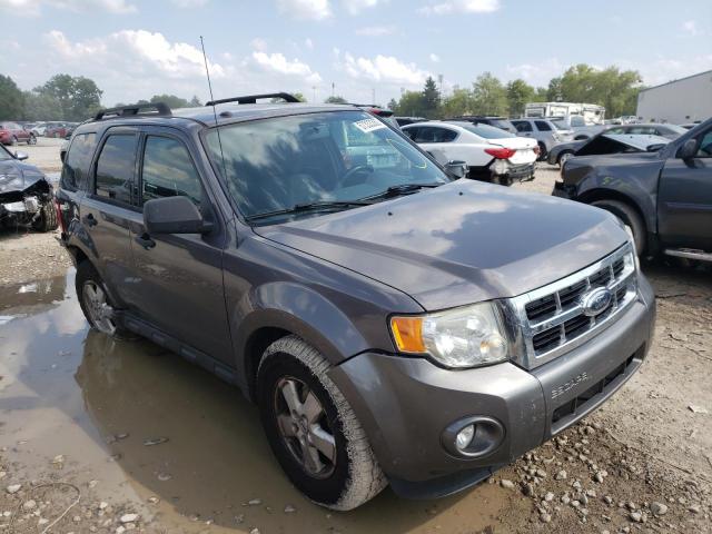 Ford Escape xlt (2010)
