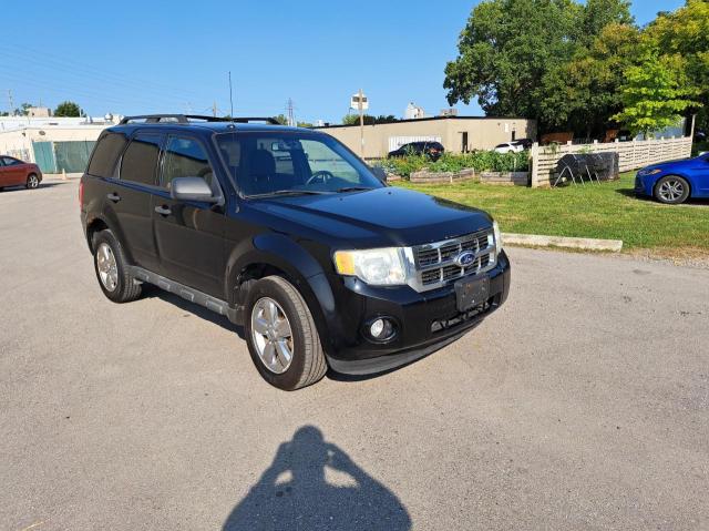 Ford Escape xlt (2010)