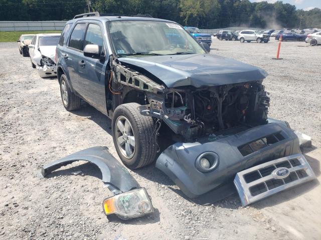 Ford Escape xlt (2011)