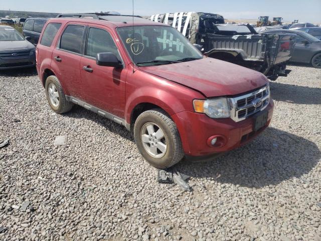 Ford Escape xlt (2011)