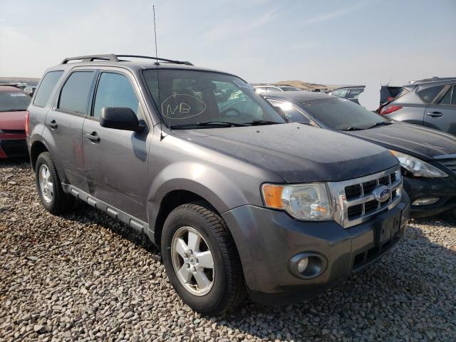 Ford Escape xlt (2011)