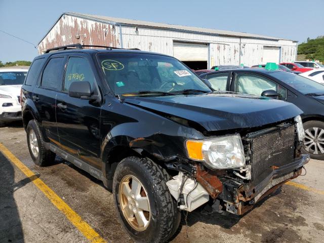 Ford Escape xlt (2010)