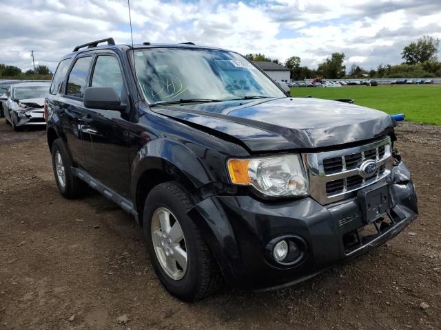 Ford Escape xlt (2011)