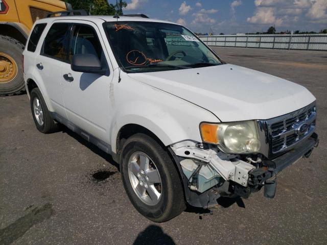 Ford Escape xlt (2011)