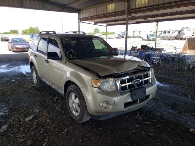 Ford Escape xlt (2011)