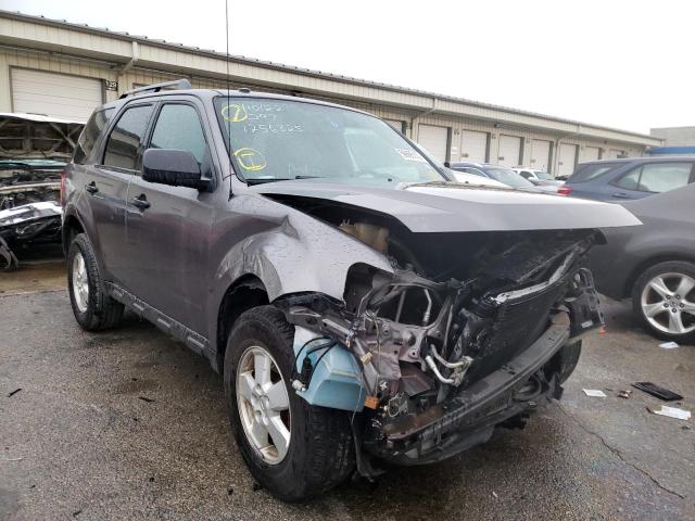 Ford Escape xlt (2010)
