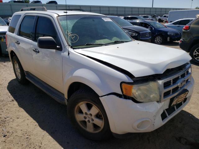 Ford Escape xlt (2010)