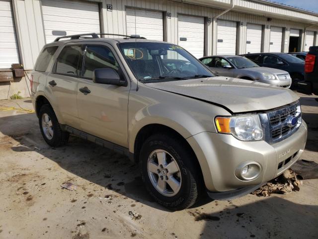 Ford Escape xlt (2011)