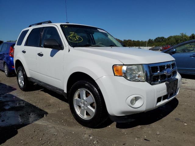 Ford Escape xlt (2011)