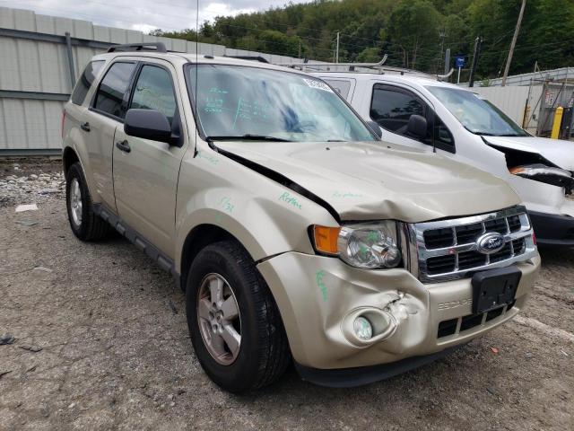 Ford Escape xlt (2012)