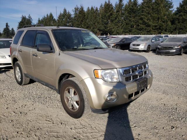 Ford Escape xlt (2010)