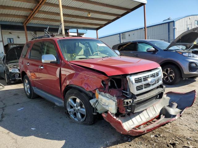 Ford Escape xlt (2010)