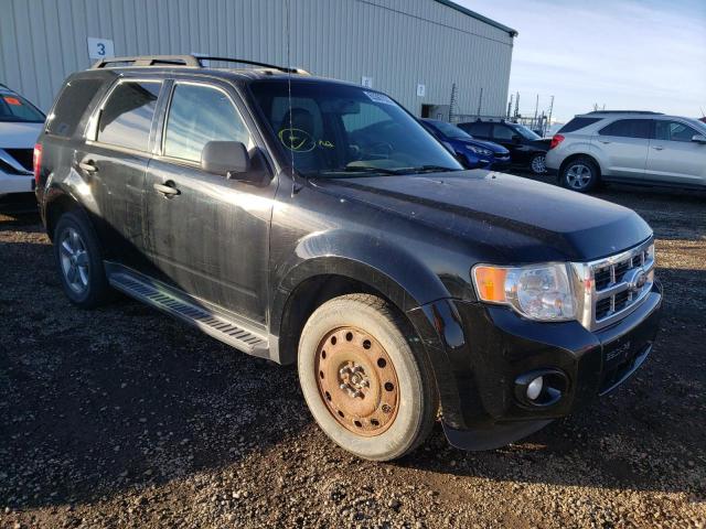 Ford Escape xlt (2010)