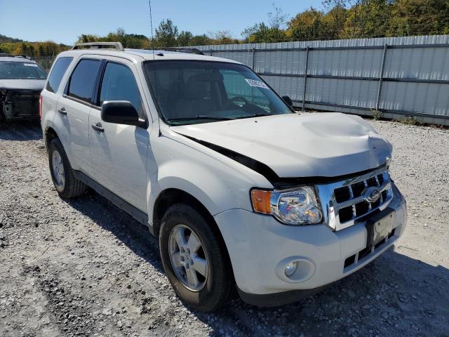 Ford Escape xlt (2011)