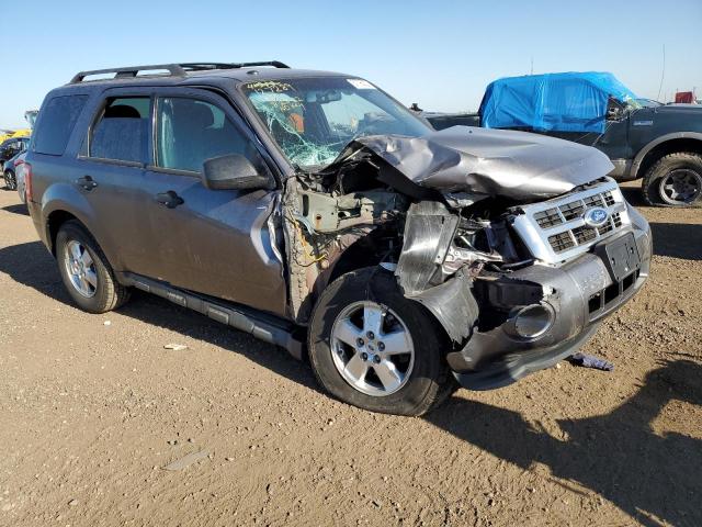 Ford Escape xlt (2011)