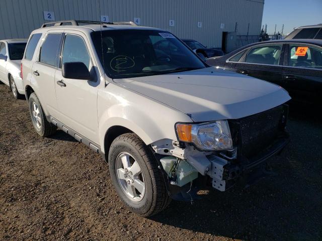 Ford Escape xlt (2011)